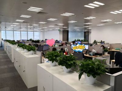 喬遷大吉！級掌柜新辦公空間全面揭秘，科技與舒適完美融合